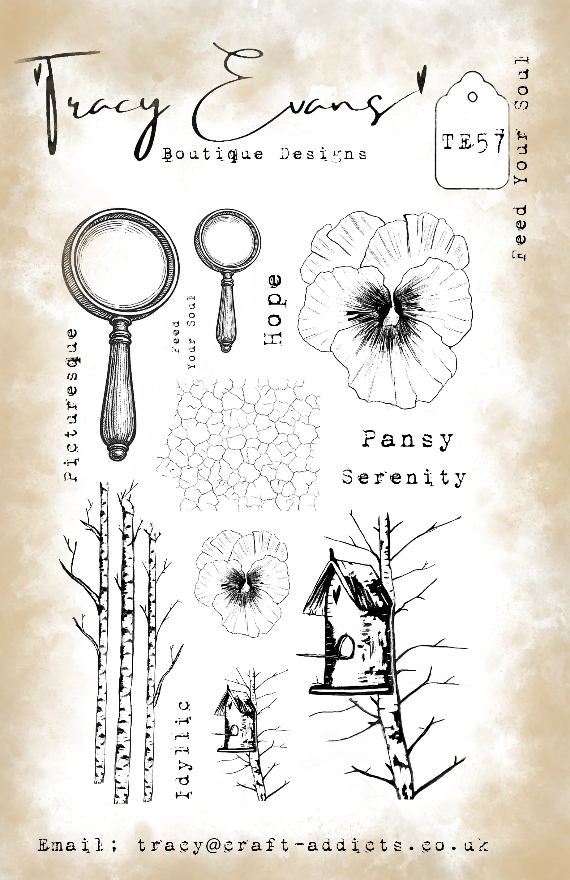 A Beleza de uma Flor: Novos Mo - Candle Making Guide avaliação e preço